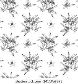 Vector seamless pattern Neroli flowers bouquet. Citrus flowers branch. Hand drawn botanical illustration. Cosmetic, perfumery and medical plant.