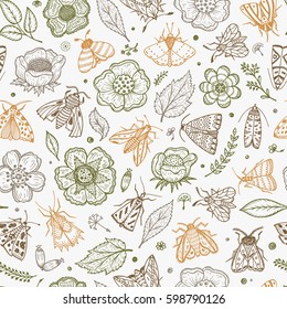 Vector Seamless Pattern with Night Butterflies and Plants. Vintage Floral Background. Hand Drawn Moths, Flowers, Leaves, Sprigs, Seeds