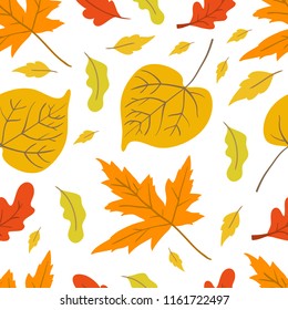 Vector seamless pattern with oak, maple, aspen leaves and plants on white background. Perfect for wallpaper, gift paper, autumn greeting cards.
