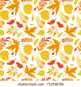 Vector seamless pattern with oak, maple, aspen leaves and plants on white background. Perfect for wallpaper, gift paper, autumn greeting cards.