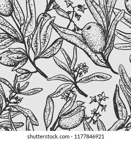 Vector seamless pattern with olive hand drawn elements. Floral outline ornament with olive leaves and branches.