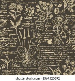 Vector seamless pattern on the theme of medicine and herbal treatment. Retro background with old hand-drawn sketches, unreadable notes, various herbs and blots. Drawing chalk on the blackboard