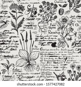 Vector seamless pattern on the theme of medicine and herbal treatment in retro style. Repeatable background with old hand-drawn sketches, unreadable notes, various herbs and blots.