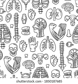 Vector Seamless Pattern On The Theme Of Human Anatomy. Cartoon Background With Isolated Human Organs And Skeleton On White Color