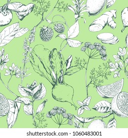 Vector seamless pattern with organic healthy vegetables, berries, herbs and spices/ Hand drawn food illustration in sketch style for print, fabric, textile, paper, wrapping and other botanical design