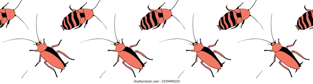 Vector seamless pattern from oriental and madagascar cockroaches, beetles, insects. Pest control background and texture