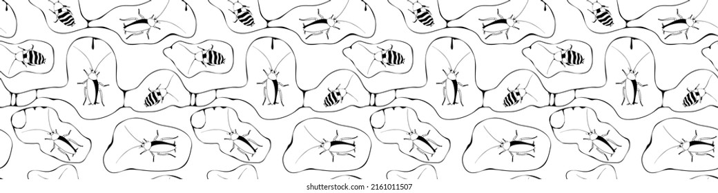 Vector seamless pattern from oriental and madagascar cockroaches, beetles, insects. Pest control background and texture