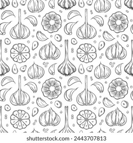 Vector patrón sin fisuras con bulbo de ajo contorno y dientes de ajo. Esboce ilustración de ajo con bulbos cortados y enteros, clavos, tallo y verde.