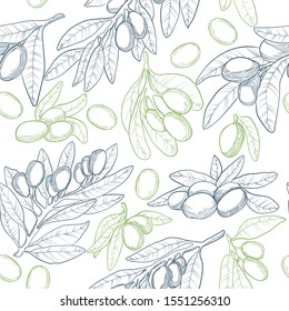 Vector seamless pattern in outline with green and blue olive brunches on white background. Linocut olive repeated background. Hand drawn illustration backdrop. Organic sketches elements. 