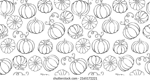 Vector seamless pattern with outline pumpkins in doodle style. Halloween or thanksgiving background and texture