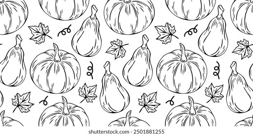 Patrón sin fisuras de Vector con calabazas de contorno en estilo doodle. Fondo de la caída del arte de la línea. Diseño de Acción de Gracias. Calabaza de otoño.