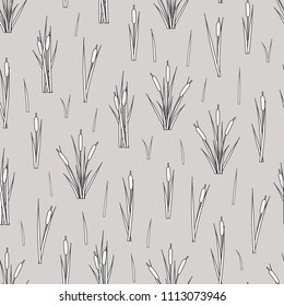 Vector seamless pattern of outline reed bushes.