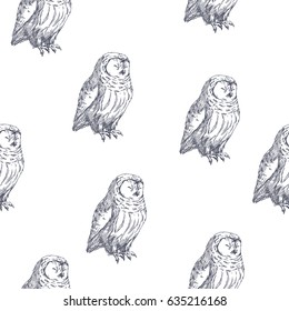 Vector seamless pattern with owls. Hand drawn biological illustration. Engraved wild bird