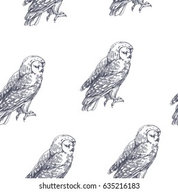 Vector seamless pattern with owls. Hand drawn biological illustration. Engraved wild bird