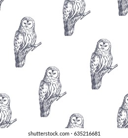 Vector seamless pattern with owls. Hand drawn biological illustration. Engraved wild bird