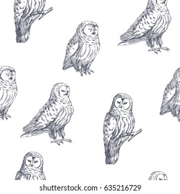 Vector seamless pattern with owls. Hand drawn biological illustration. Engraved wild bird