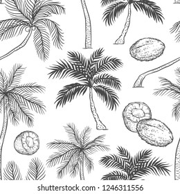 Vector seamless pattern of palm. Different black white kinds of tropical palmtrees and coconut. Contour sketch background monochrome isolated on white background.