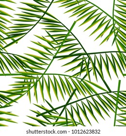 Vector seamless pattern with palm leaves. Summer illustration. Exotic tropical leaf.