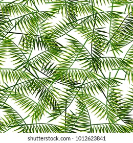 Vector seamless pattern with palm leaves. Summer illustration. Exotic tropical foliage.