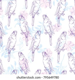 Vector seamless pattern with parrot.