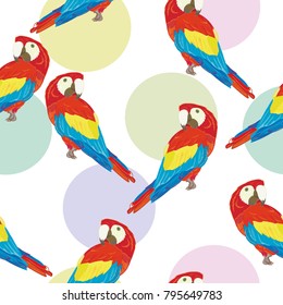 Vector seamless pattern with parrot.