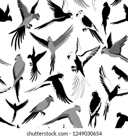 Vector Seamless pattern with parrot of jungle. Black and white