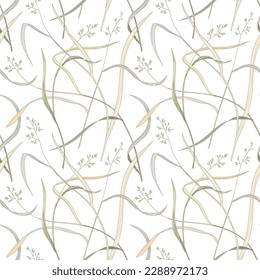 Vector seamless pattern. Pasture grass silhouettes with spikelets on white background. Colorful monocots with seeds. Beautiful delicate design for pillowcase, underwear, linen, textile, wallpaper. 