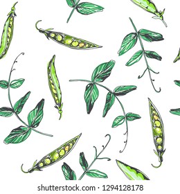 Vector seamless pattern with peas in sketch style. Hand drawn texture with pods and leaves.