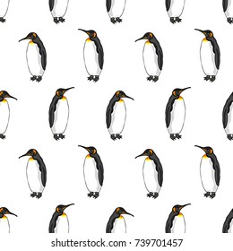 vector seamless pattern of penguin on white background. Illustration of bird Emperor penguins