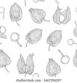 Vector seamless pattern of physalis. Cape Gooseberry (winter cherry). Vector seamless pattern. 