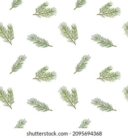 Vector seamless pattern with pine branch