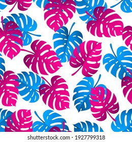 Patrón sin vectores con hojas de monastera rosadas y azules aisladas en fondo blanco. Diseño de textura tropical.