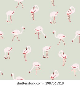 Vector de patrón transparente con flamencos rosados sobre fondo verde claro