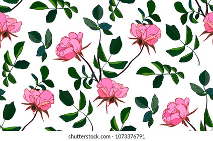 Vector seamless pattern pink roses