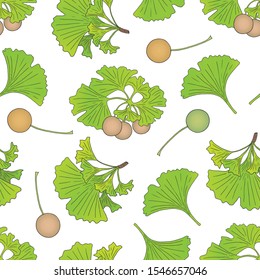 Vector seamless pattern with a plant Ginkgo biloba on a white background