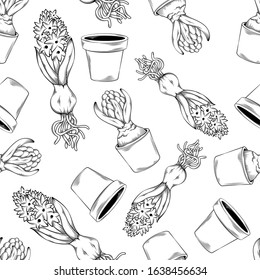 Vector seamless pattern of plant hyacinth in pot and with roots, isolated on a white background, garden maintenance, landscaping and hobby concept, sketch style, line art.