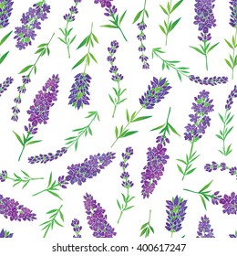 Vector seamless pattern with a plant lavender on a white background