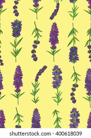 Vector seamless pattern with a plant lavender on a yellow background