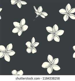 Vector seamless pattern. Plumeria flowers in engraving style. Isolated tropical blooming plants. Hand drawn botanical texture.