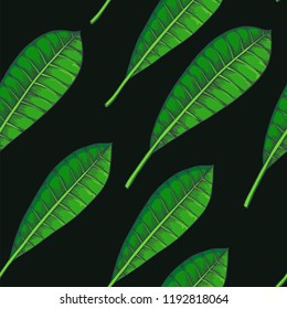 Vector seamless pattern with plumeria leaves isolated on white. Hand drawn illustration of foliage in engraving style. Botanical color texture. Tropical plant sketch