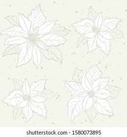 Vector seamless pattern with poinsettia flowers. Delicate off white colors. Hand drawn illustration. 