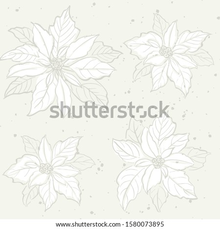 Vector seamless pattern with poinsettia flowers. Delicate off white colors. Hand drawn illustration. 