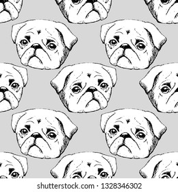 Vector seamless pattern with pug. Hand drawn illustration of dog . 