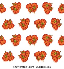 Vector seamless pattern with pumpkin. Pumpkin seamless pattern