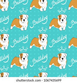 Vector seamless pattern with puppy English Bulldog and white sketch of a crown and the inscriptionon 
on blue background with polka dot