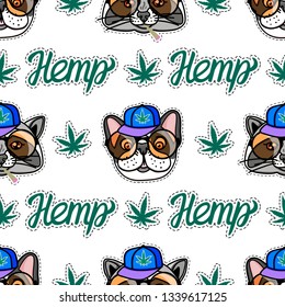 Vector Seamless pattern Raccoon and dog with sunglasses. Hemp lettering isolated on white background. Cool hip hop style cap