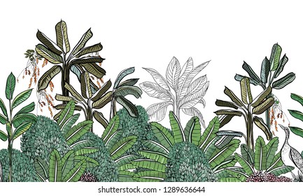 Vector Seamless Pattern RainForest Skyline Border Tropical Jungle with Exotic Birds Heron, Wildlife Outlines