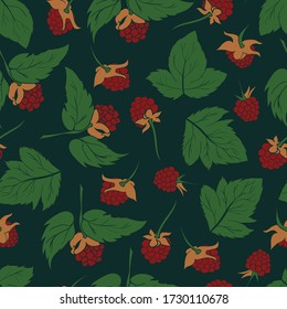 Vector seamless pattern with raspberries on dark green