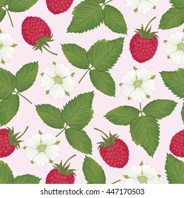 Vector seamless pattern with raspberry berries and its flowers on a light pink background