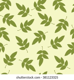 Vector Seamless Pattern real leaves, green